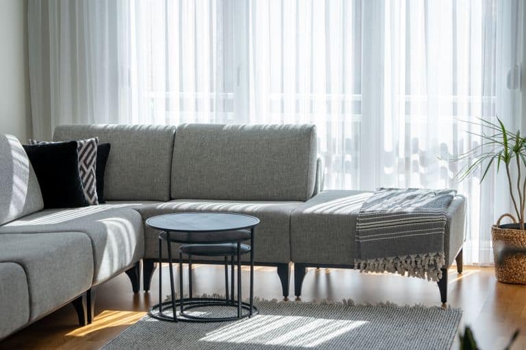 Bright and stylish living room with gray sectional sofa, black table, and natural sunlight. Ideal for minimalist interior design inspiration.